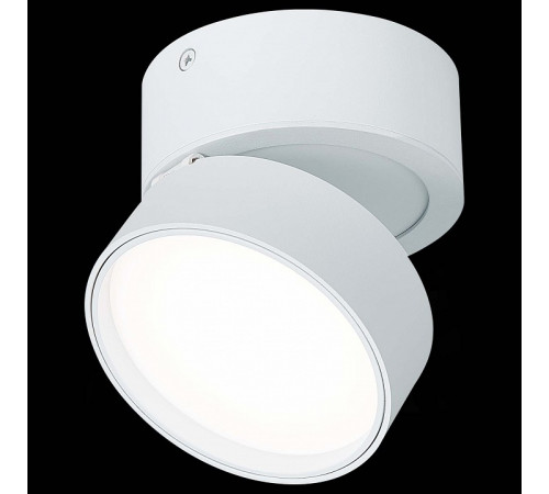 Накладной светильник ST Luce ST651 ST651.542.14