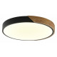 Потолочный светильник Zortes Alberro ZRS.01237.90