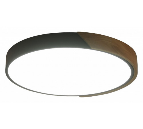 Потолочный светильник Zortes Alberro ZRS.01280.24 Потолочный светильник Zortes Alberro ZRS.01280.24