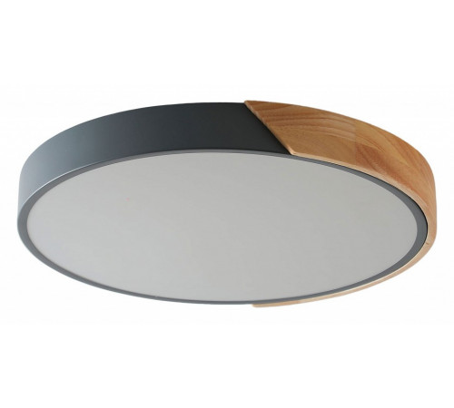 Потолочный светильник Zortes Alberro ZRS.01280.90 Потолочный светильник Zortes Alberro ZRS.01280.90