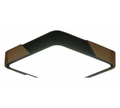 Потолочный светильник Zortes Alberro ZRS.01281.48 Потолочный светильник Zortes Alberro ZRS.01281.48