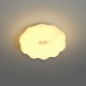 Потолочный светильник Zortes Soft ZRS.1118.2