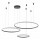 Подвесная люстра Zortes Ringolight ZRS.33320.120F