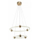 Подвесная люстра Zortes Auralia ZRS.57790.94