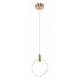 Подвесной светильник Zortes Ringer ZRS.57792.17