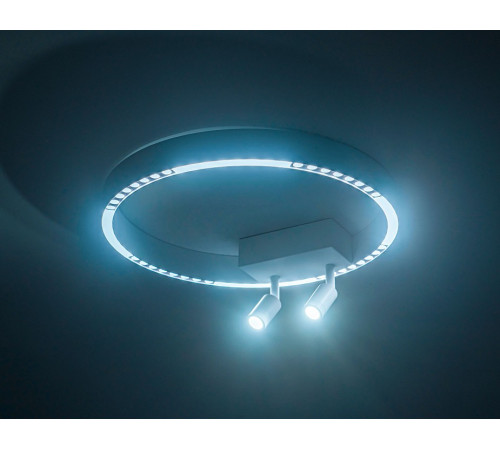 Потолочный светильник Ambrella Light Comfort FL5805 Потолочный светильник Ambrella Light Comfort FL5805