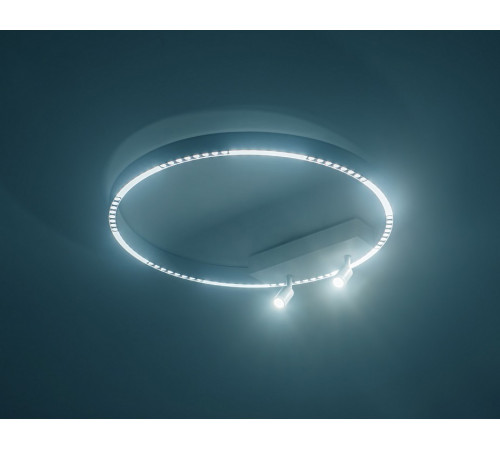 Потолочный светильник Ambrella Light Comfort FL5807 Потолочный светильник Ambrella Light Comfort FL5807