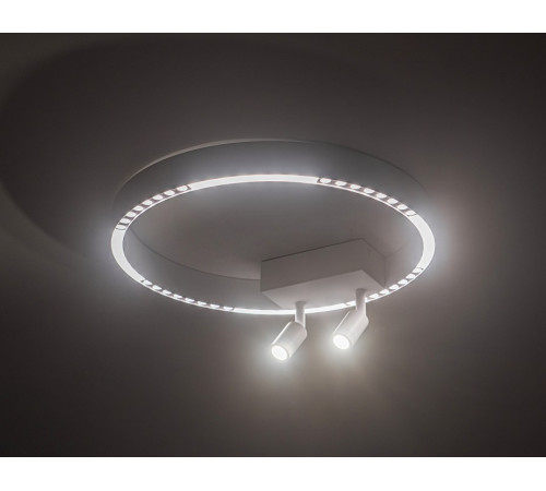 Потолочный светильник Ambrella Light Comfort FL5808 Потолочный светильник Ambrella Light Comfort FL5808