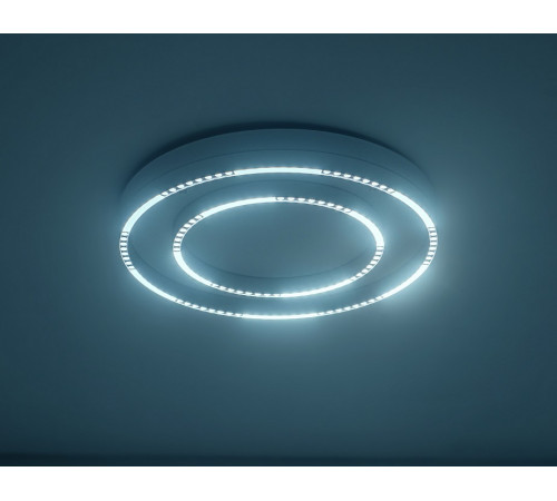 Потолочный светильник Ambrella Light Comfort FL5821 Потолочный светильник Ambrella Light Comfort FL5821