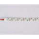 Светодиодная лента двухрядная Ambrella Light LED Strip 12В 2835 24Вт/м 6500K 5м IP20 GS1703