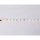 Светодиодная лента Ambrella Light LED Strip 12В 5050 7,2Вт/м 3000K 5м IP20 GS1801