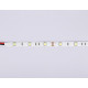 Светодиодная лента Ambrella Light LED Strip 12В 5050 7,2Вт/м 6500K 5м IP20 GS1803