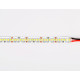 Светодиодная лента Ambrella Light LED Strip 24В 2835 18Вт/м 3000K 5м IP20 GS3301