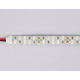 Светодиодная лента двухрядная Ambrella Light LED Strip 24В 2835 24Вт/м 3000K 5м IP20 GS3701