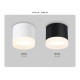 Накладной светильник Ambrella Light Acrylic Frost TN5365