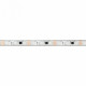 Светодиодная герметичная лента Arlight SPI-PFS-B60-12mm 12V RGB-PX3-BPT (12 W/m, IP68, 5060, 5m) 039177