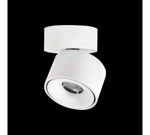 Спот Citilux CL558010N Спот Citilux CL558010N