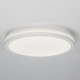 Потолочный светильник Citilux Luns CL711020V