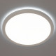 Потолочный светильник Citilux Basic Line CL738240VL