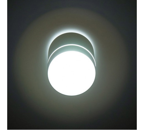Накладной светильник Citilux Борн CL745010N