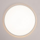 Потолочный светильник Citilux Norma CL748400