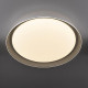 Потолочный светильник Citilux Mega CL752451G