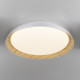 Потолочный светильник Citilux Mega CL752452G