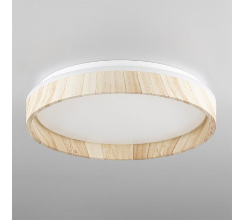 Потолочный светильник Citilux Enzo CL753352G