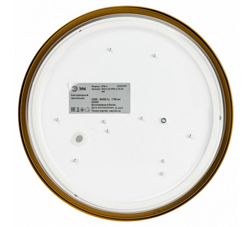 Потолочный светильник Эра Relict 22 SPB-6-20 4К MG Б0059509