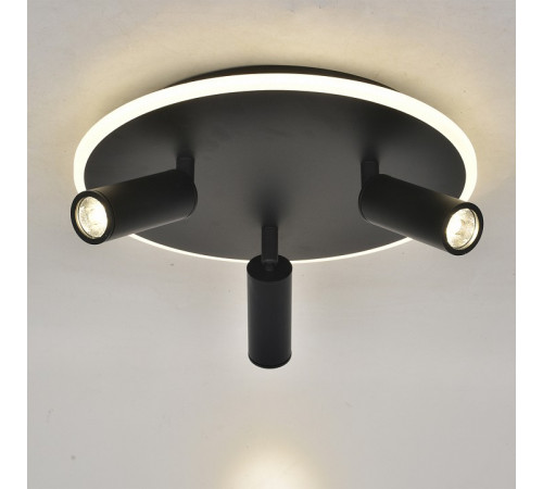 Потолочный светильник Escada 20046SMA/03LED BK