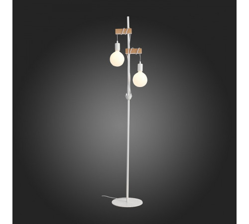 Торшер EVOLUCE BAGETTI SL1142.505.01