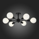 Потолочная люстра ST Luce Ano SL419.402.06