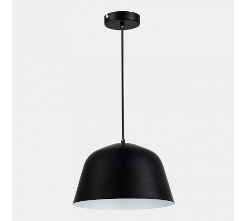 Подвесной светильник Evoluce Blank SLE1805-403-01