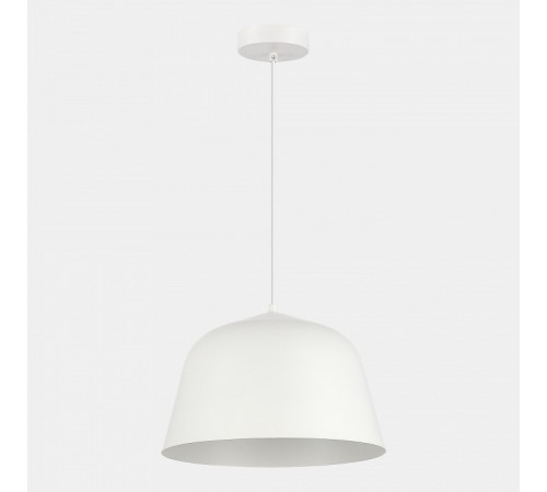 Подвесной светильник Evoluce Blank SLE1805-503-01
