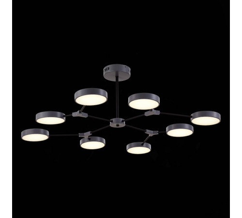Потолочный светильник Evoluce Monta SLE6003-702-08