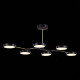 Потолочный светильник Evoluce Monta SLE6004-402-06