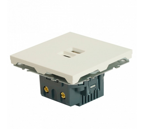 Розетка 2-местная USB + Type C Stekker RST10-5115-01 Эмили 49879