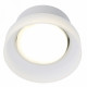 Потолочный светильник Feron Opal HL460 51682