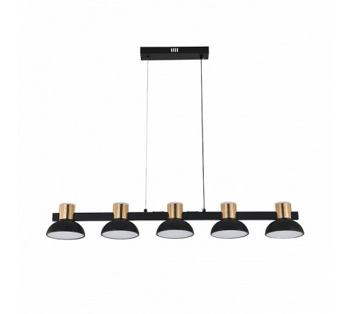 Подвесной светильник Indigo Traforo 11059/5PL Black V000184L Подвесной светильник Indigo Traforo 11059/5PL Black V000184L