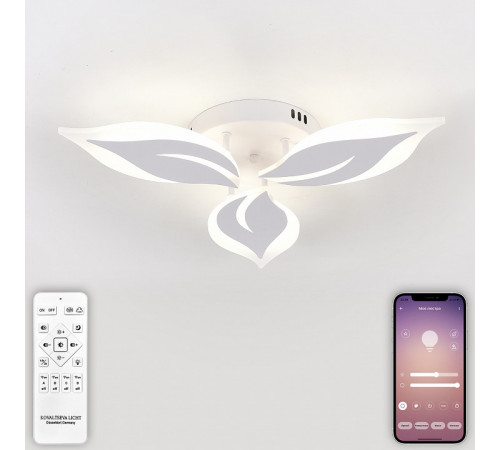 Потолочная люстра Natali Kovaltseva Sirius LED LAMPS 81164