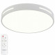 Потолочный светильник Natali Kovaltseva Modern LED LAMPS 81334