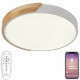 Потолочный светильник Natali Kovaltseva Scandinavian LED LAMPS 81181
