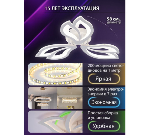 Потолочная люстра Natali Kovaltseva Fortuna LED LAMPS 81107/2C