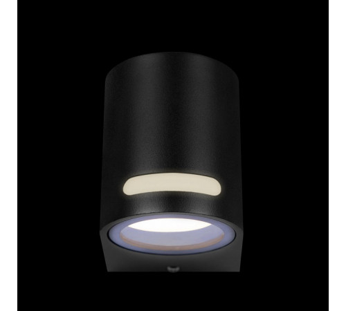 Уличный настенный светильник Loft IT Stema 100012/A Уличный настенный светильник Loft IT Stema 100012/A