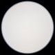 Потолочный светильник Loft IT AXEL 10001/36 Grey