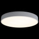 Потолочный светильник Loft IT AXEL 10002/24 White