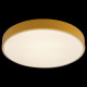 Потолочный светильник Loft IT AXEL 10002/24 Yellow
