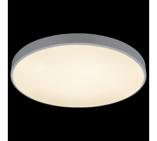 Потолочный светильник Loft IT AXEL 10002/48 White Потолочный светильник Loft IT AXEL 10002/48 White
