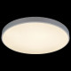 Потолочный светильник Loft IT AXEL 10002/48 White