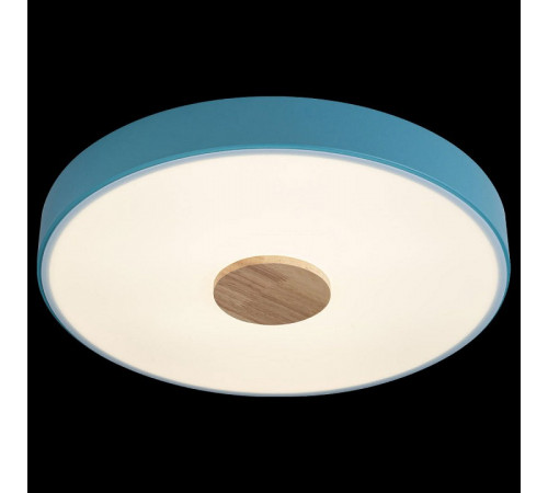 Потолочный светильник Loft IT AXEL 10003/24 Blue Потолочный светильник Loft IT AXEL 10003/24 Blue